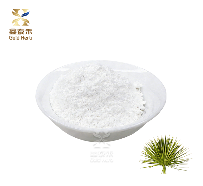 Saw Palmetto Bulk Powder